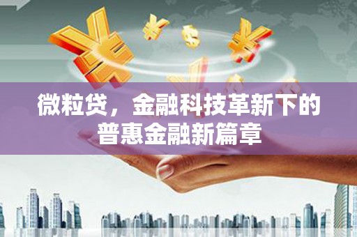 甘谷微粒贷，金融科技革新下的普惠金融新篇章
