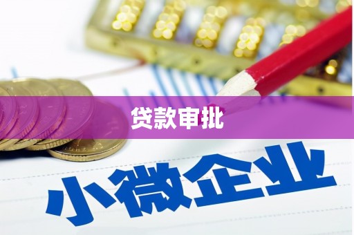 甘谷贷款审批