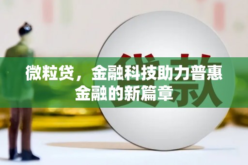 甘谷微粒贷，金融科技助力普惠金融的新篇章