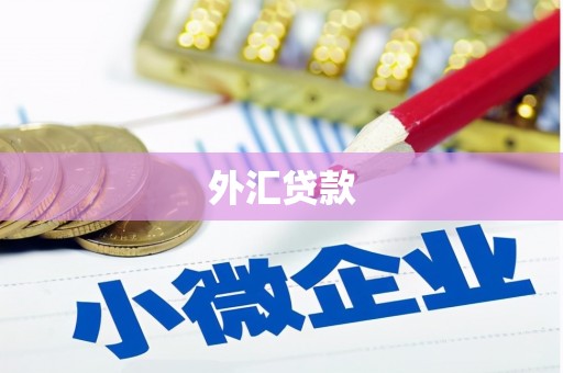 甘谷外汇贷款