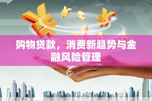 甘谷购物贷款，消费新趋势与金融风险管理
