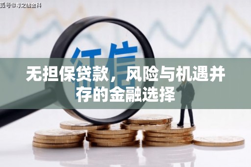 甘谷无担保贷款，风险与机遇并存的金融选择