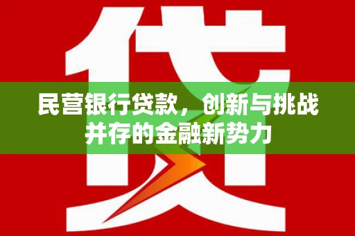 甘谷民营银行贷款，创新与挑战并存的金融新势力