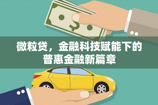 甘谷微粒贷，金融科技赋能下的普惠金融新篇章