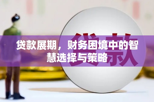 甘谷贷款展期，财务困境中的智慧选择与策略