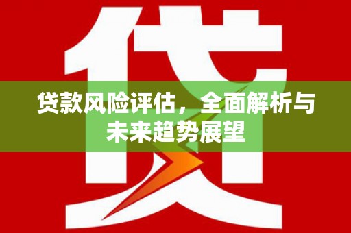 甘谷贷款风险评估，全面解析与未来趋势展望