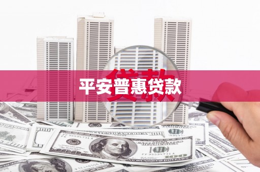甘谷平安普惠贷款