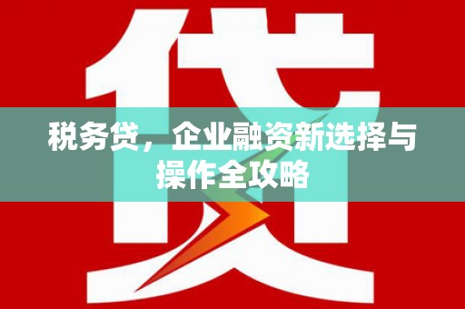 甘谷税务贷，企业融资新选择与操作全攻略