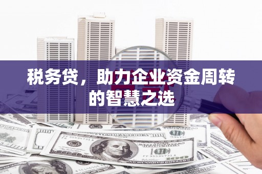 甘谷税务贷，助力企业资金周转的智慧之选