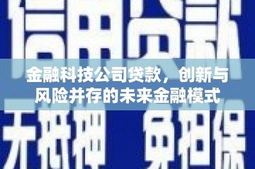 甘谷金融科技公司贷款，创新与风险并存的未来金融模式