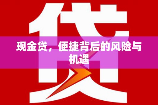 甘谷现金贷，便捷背后的风险与机遇