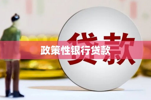 甘谷政策性银行贷款