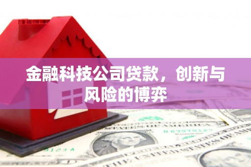 甘谷金融科技公司贷款，创新与风险的博弈