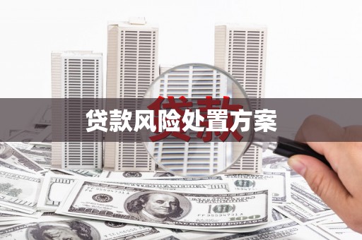 甘谷贷款风险处置方案