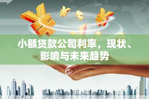 甘谷小额贷款公司利率，现状、影响与未来趋势