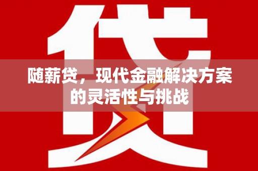 甘谷随薪贷，现代金融解决方案的灵活性与挑战