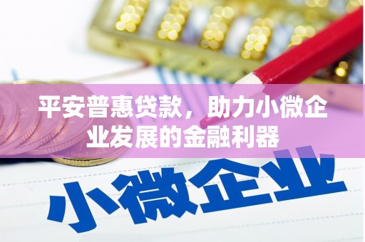 甘谷平安普惠贷款，助力小微企业发展的金融利器