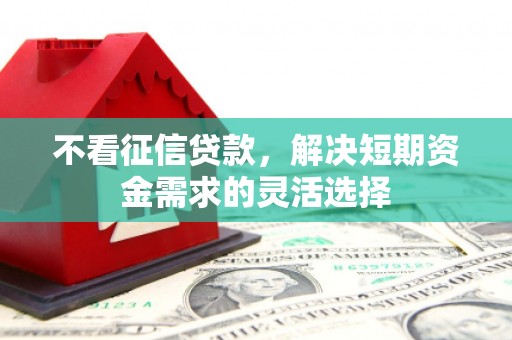 甘谷不看征信贷款，解决短期资金需求的灵活选择