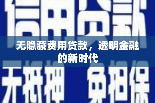 甘谷无隐藏费用贷款，透明金融的新时代