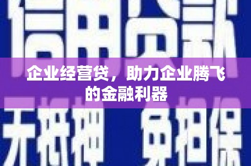 甘谷企业经营贷，助力企业腾飞的金融利器