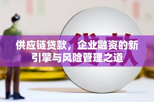 甘谷供应链贷款，企业融资的新引擎与风险管理之道