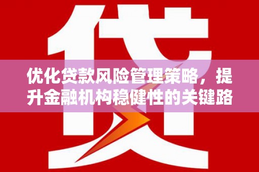 甘谷优化贷款风险管理策略，提升金融机构稳健性的关键路径