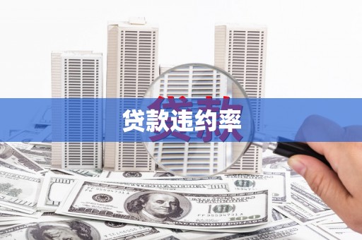 甘谷贷款违约率