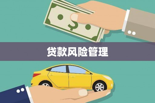 甘谷贷款风险管理