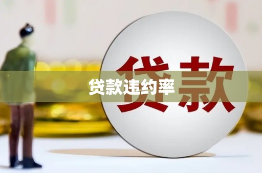 甘谷贷款违约率