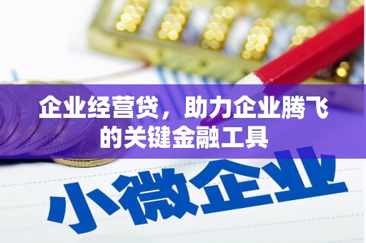 甘谷企业经营贷，助力企业腾飞的关键金融工具