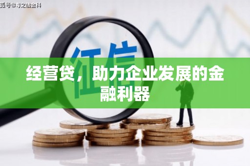 甘谷经营贷，助力企业发展的金融利器