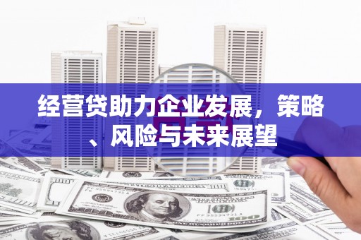 甘谷经营贷助力企业发展，策略、风险与未来展望