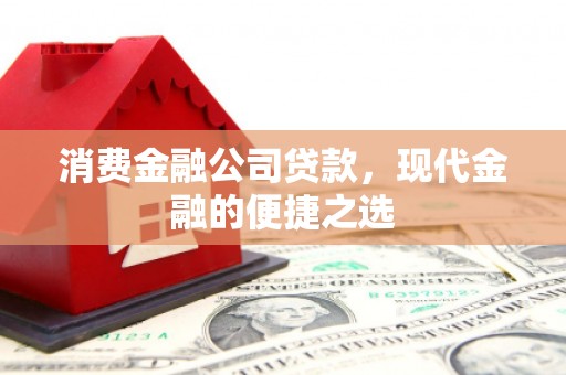 甘谷消费金融公司贷款，现代金融的便捷之选