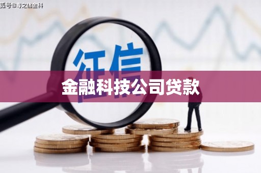 甘谷金融科技公司贷款