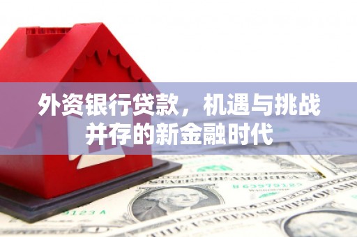 甘谷外资银行贷款，机遇与挑战并存的新金融时代
