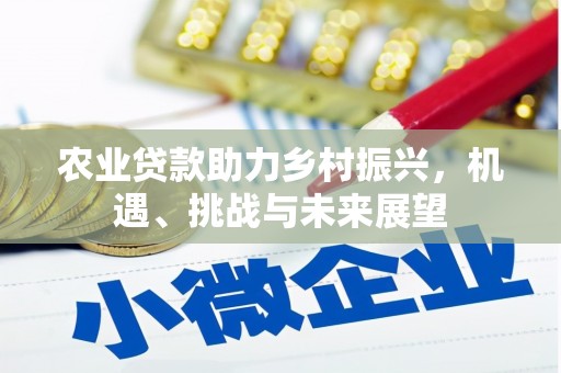 甘谷农业贷款助力乡村振兴，机遇、挑战与未来展望