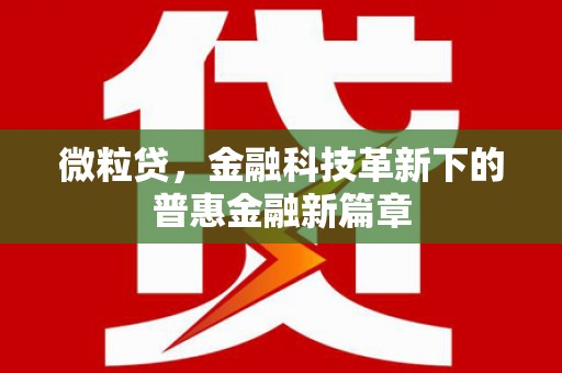 甘谷微粒贷，金融科技革新下的普惠金融新篇章