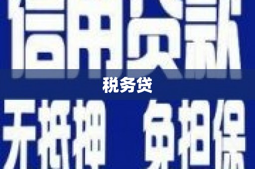 甘谷税务贷