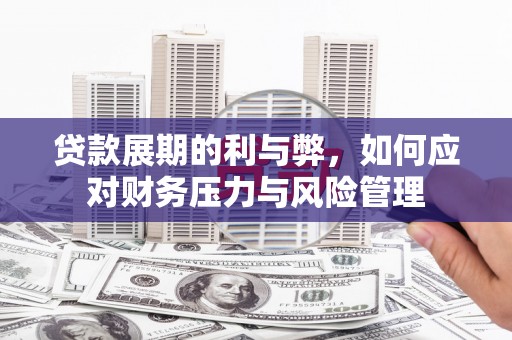 甘谷贷款展期的利与弊，如何应对财务压力与风险管理