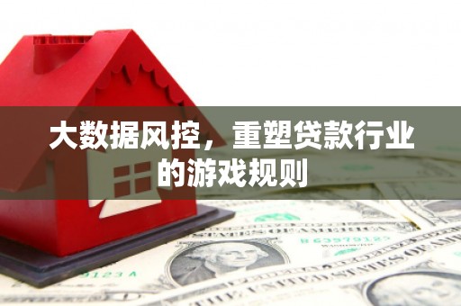 甘谷大数据风控，重塑贷款行业的游戏规则
