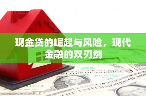 甘谷现金贷的崛起与风险，现代金融的双刃剑