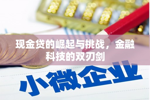 甘谷现金贷的崛起与挑战，金融科技的双刃剑