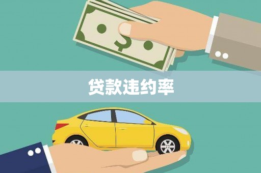 甘谷贷款违约率