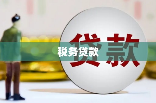 甘谷税务贷款