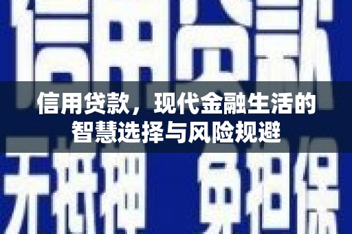 甘谷信用贷款，现代金融生活的智慧选择与风险规避