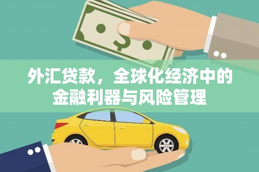 甘谷外汇贷款，全球化经济中的金融利器与风险管理