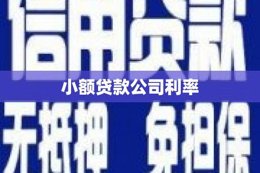 甘谷小额贷款公司利率