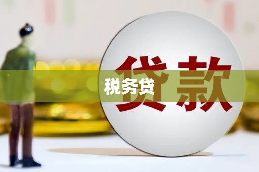 甘谷税务贷