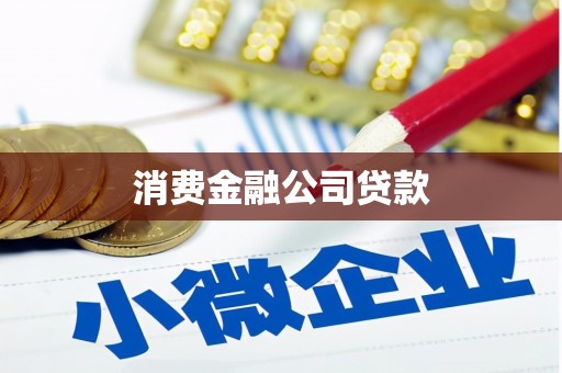 甘谷消费金融公司贷款