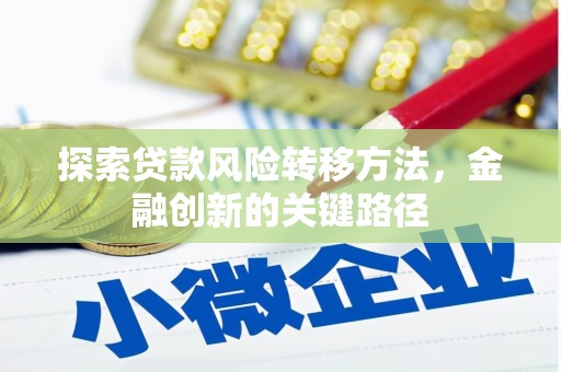 甘谷探索贷款风险转移方法，金融创新的关键路径